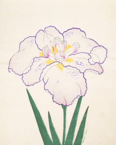 Tanporo, No. 51 by Japanese School